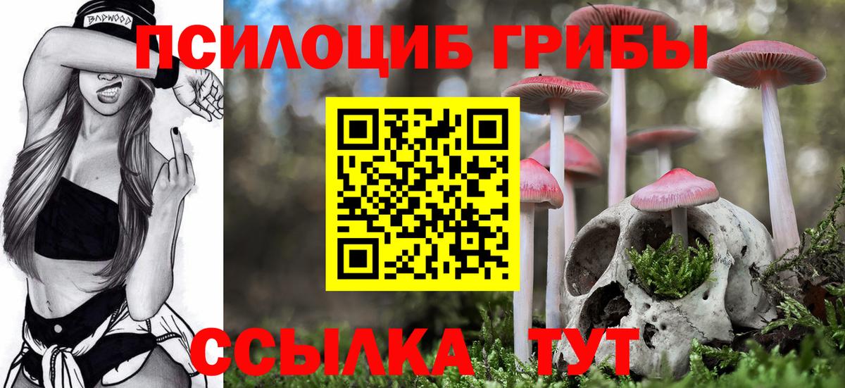 Псилоцибиновые грибы Cubensis Бахчисарай