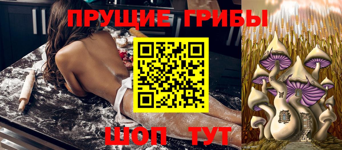 Бахчисарай  где купить   Галлюциногенные грибы прущие грибы  Вход с VPN  Псилоцибиновые грибы Psilocybine cubensis 